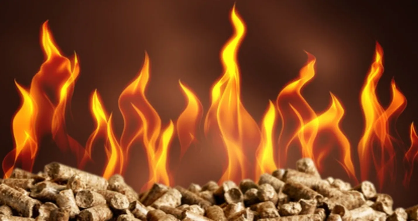 Pellet di legno di qualità con fiamma viva
